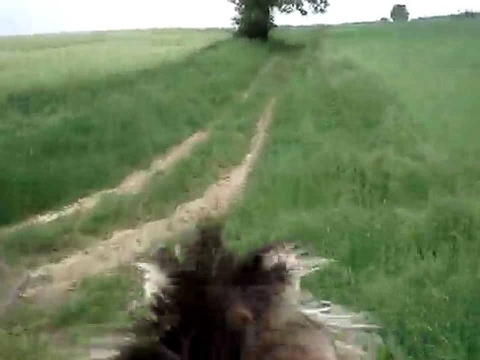14 mai galop