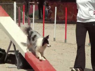 verylee degré nimes