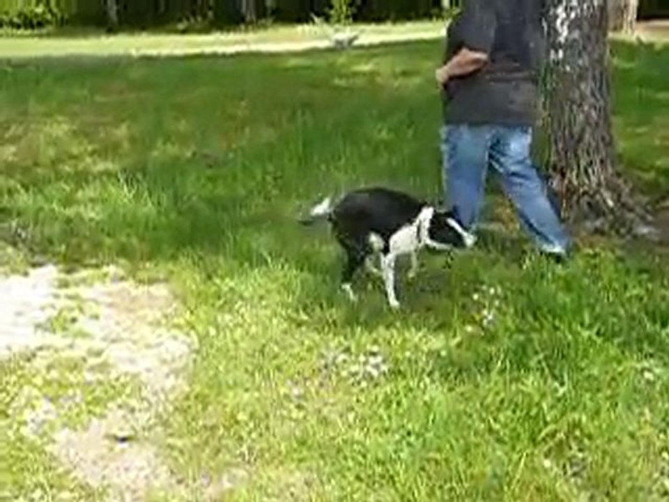belle a l'eau
