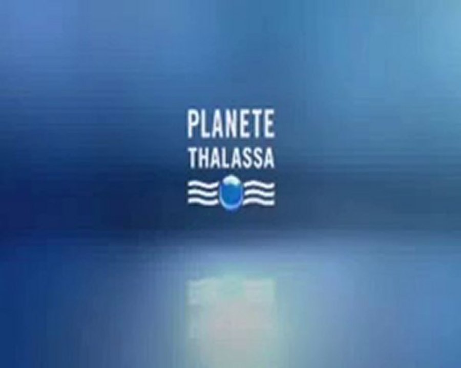 Alain GHAZAL | Voix off Planète Thalassa - Mai 2010