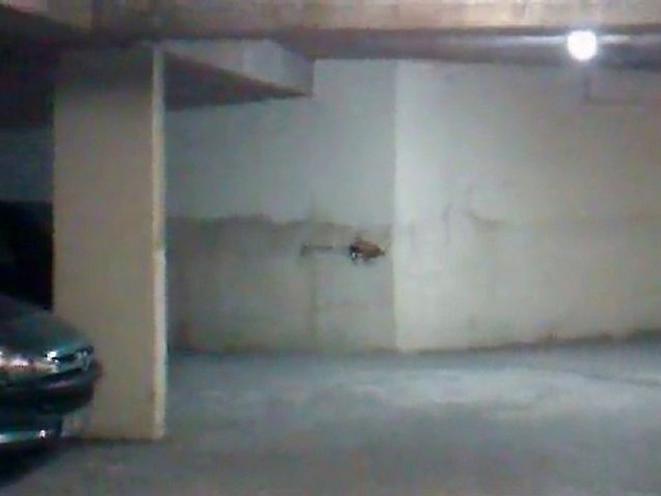 petit vol tranquille