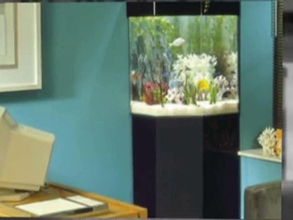 75 Gallon Aquarium, Aquariums, 55 Gallon fish tank, 10 ...