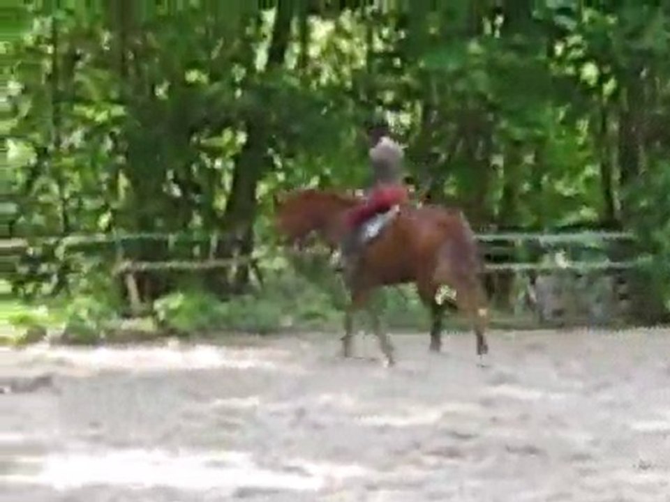 Olaf, Oh le trotteur :)