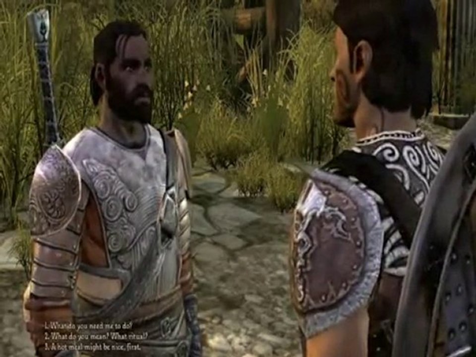 Dragon Age Origins - Gameplay Commentée