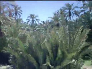 Cap Rallye : Rallye Maroc 2010 15 (www.caprallye.com)