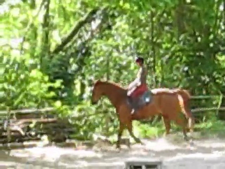 Oh le trotteur, suite