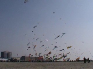 Démonstration de Flying Squad aux 24émes RICV de Berck 2010