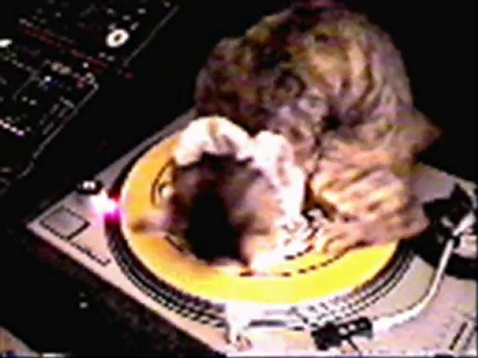 Dwank Mob - Do Dat Pineapple