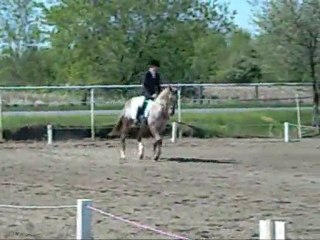 dressage avant-après