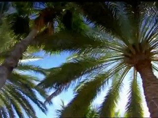 PCA PokerStars Caribbean Adventure 2010 Parte 09
