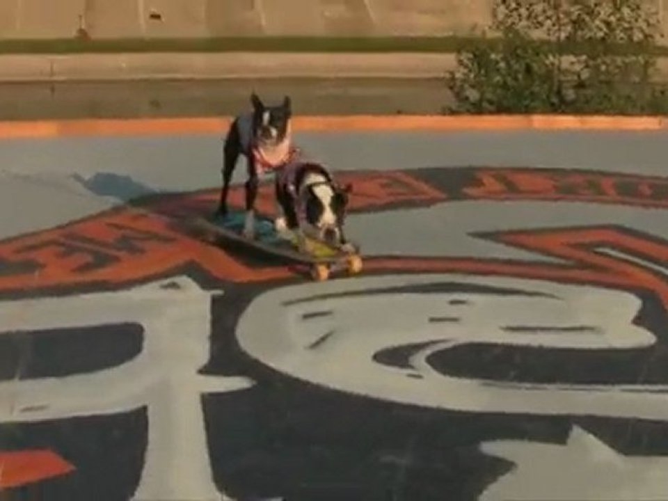 FISE 2010 Montpellier