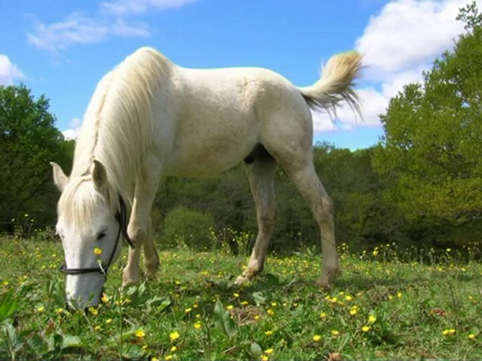 Lucky2009