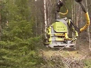 dempogroup - forestry machinery - bracke c16.a