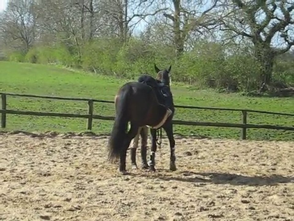 M + C Bodenarbeitvideo 3