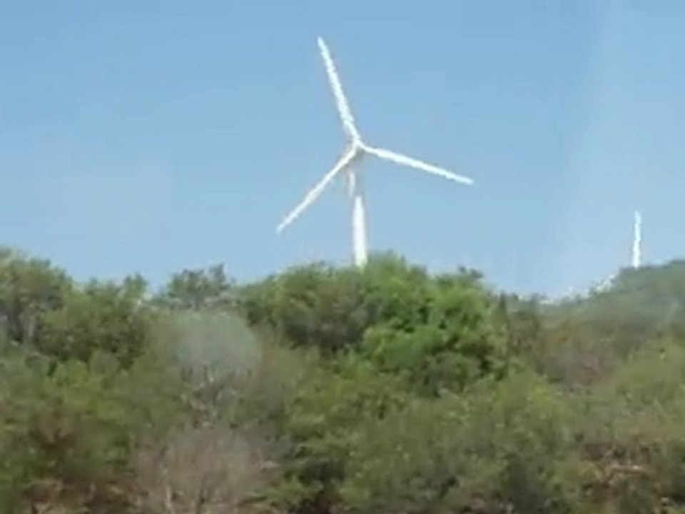 Efes Rüzgar Enerjisi