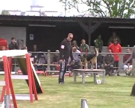 julien et cheyenne agility cordemais