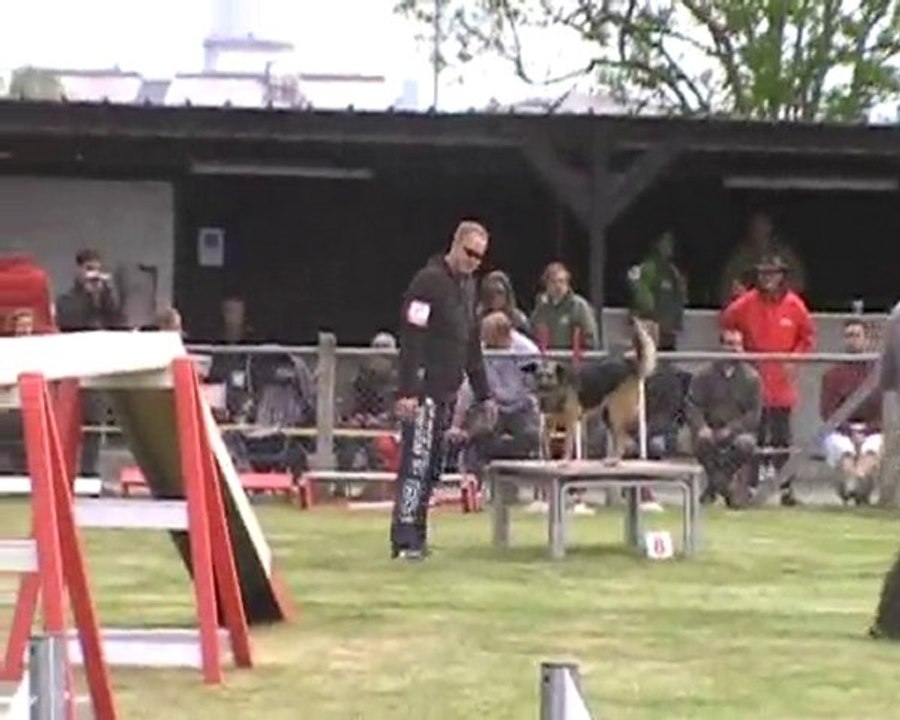 julien et cheyenne agility cordemais