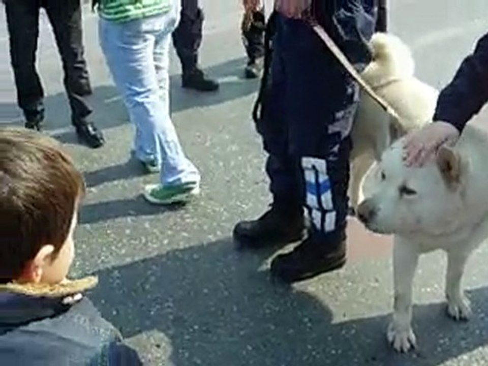 Tufan Ve Polis Köpeği