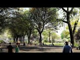 Parc des Docks de Saint-Ouen - Projet B