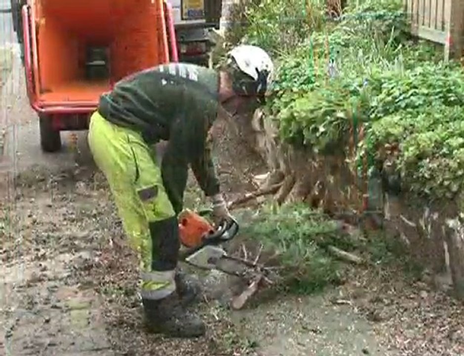 Casey Tree Care & Landscape Services Ltd