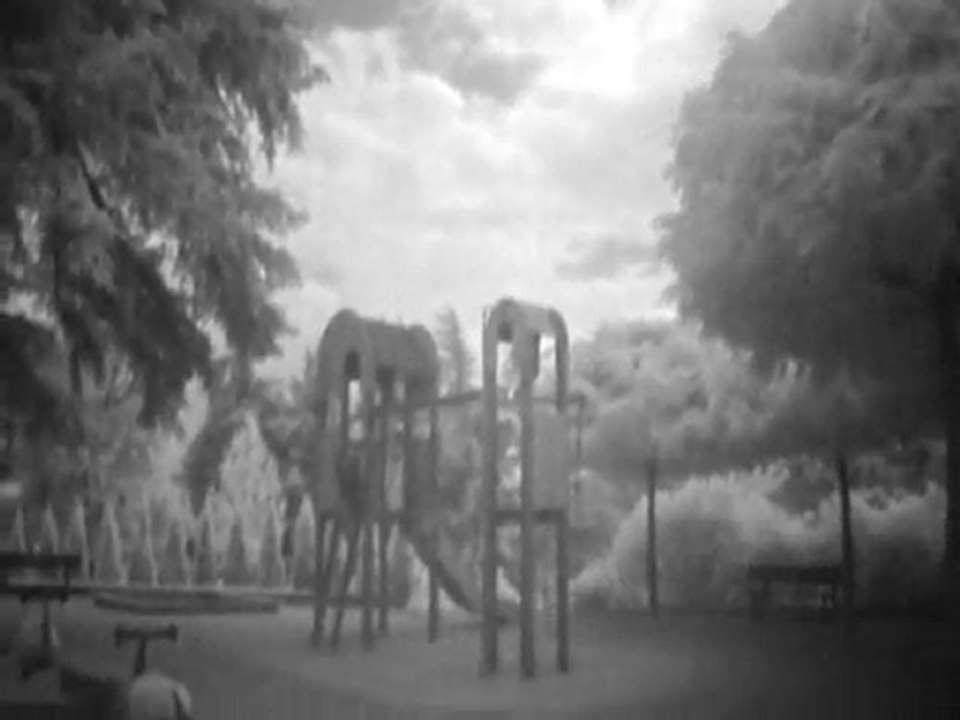 FUJI HS10 AVEC FILTRE IR 760 TEST 2