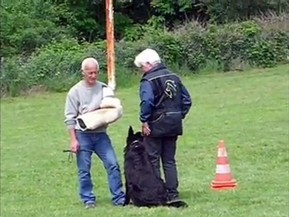 bawl des orckis de l'adret :defense du 16 mai 2010