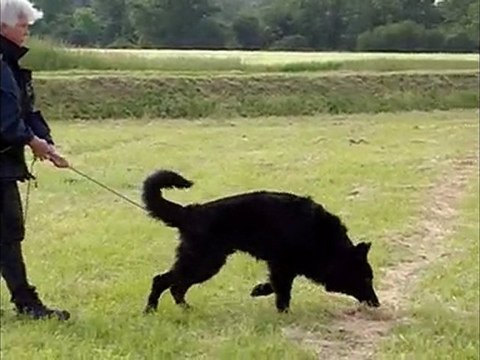 bawl des orckis de l'adret : piste du 15 mai 2010