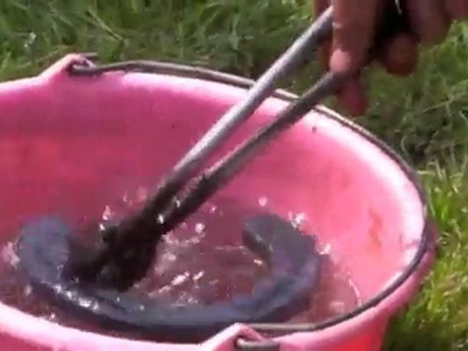 Fête du terroir en Sambre-Avesnois