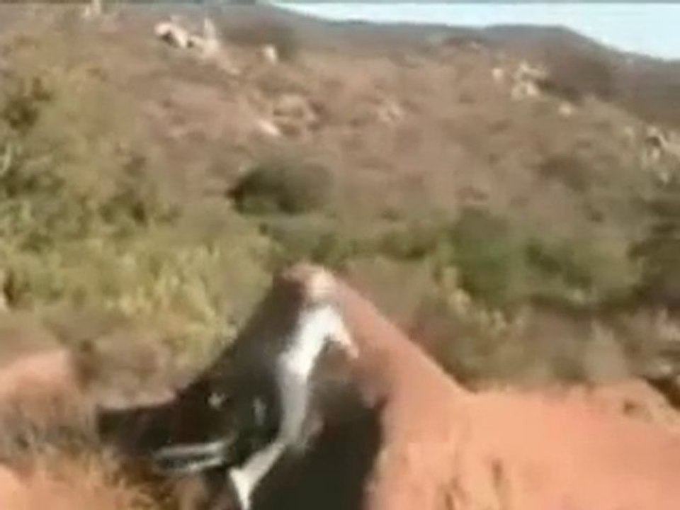 Faceplant en VTT
