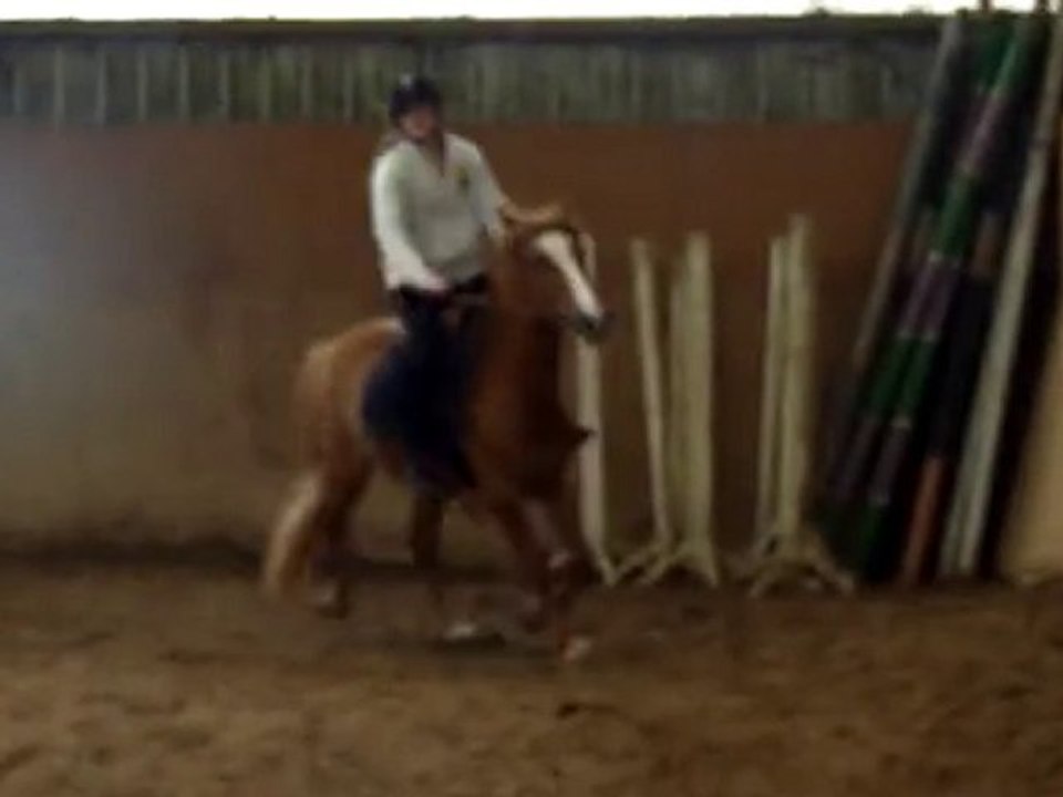 Priscillia & Toufik au Galop.