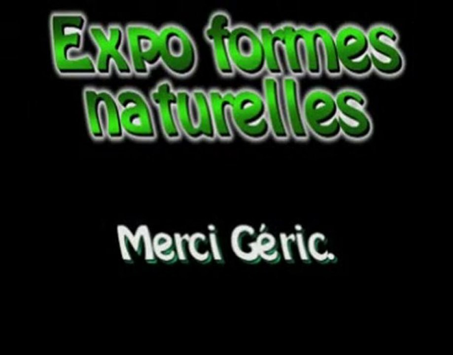 Betta splendens "Autour des Betta" CIL-IBSC,18 avril 2010.