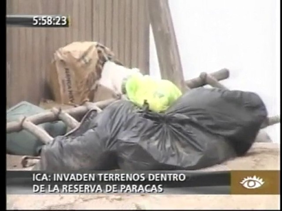 INVASORES EN OCUCAJE