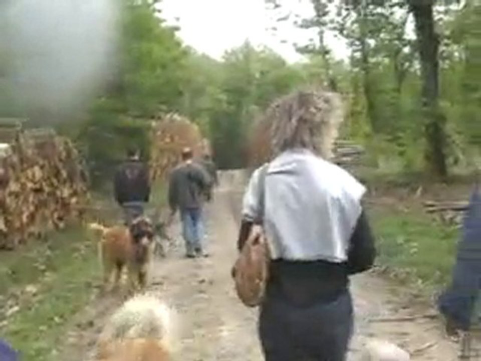 SORTIE LEOS 16 MAI 10