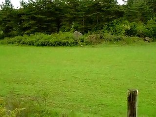 Le lievre traverse le champ ... 1ere partie