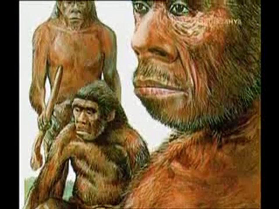Neandertal