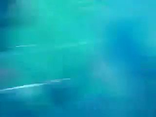 Sochaux-Auxerre_Joyriders sochaux