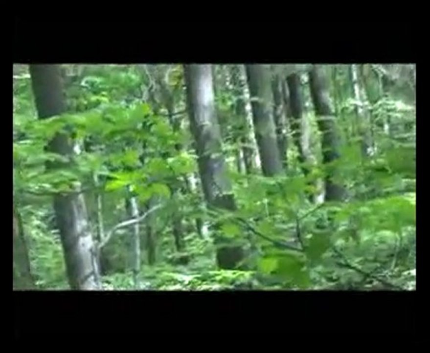 AIRSOFT OP DU 16 MAI