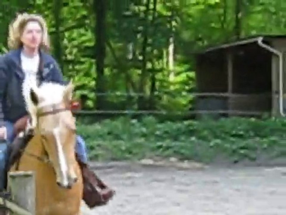 Galop Lola