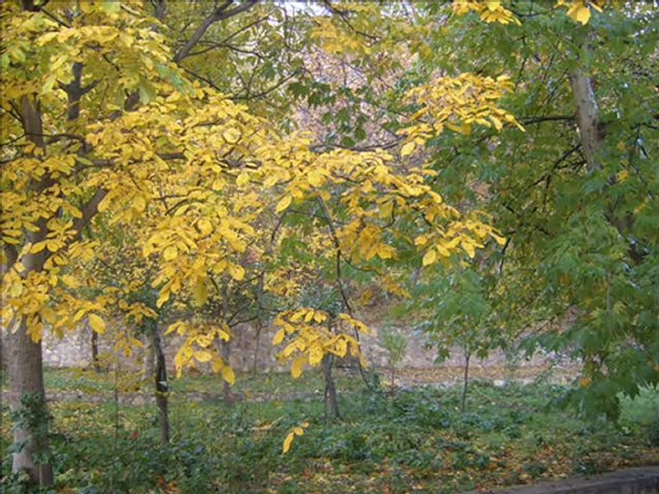 saklayacağım edip akbayram