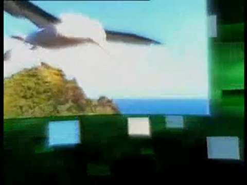 Yaşayan fosiller: Yarasa