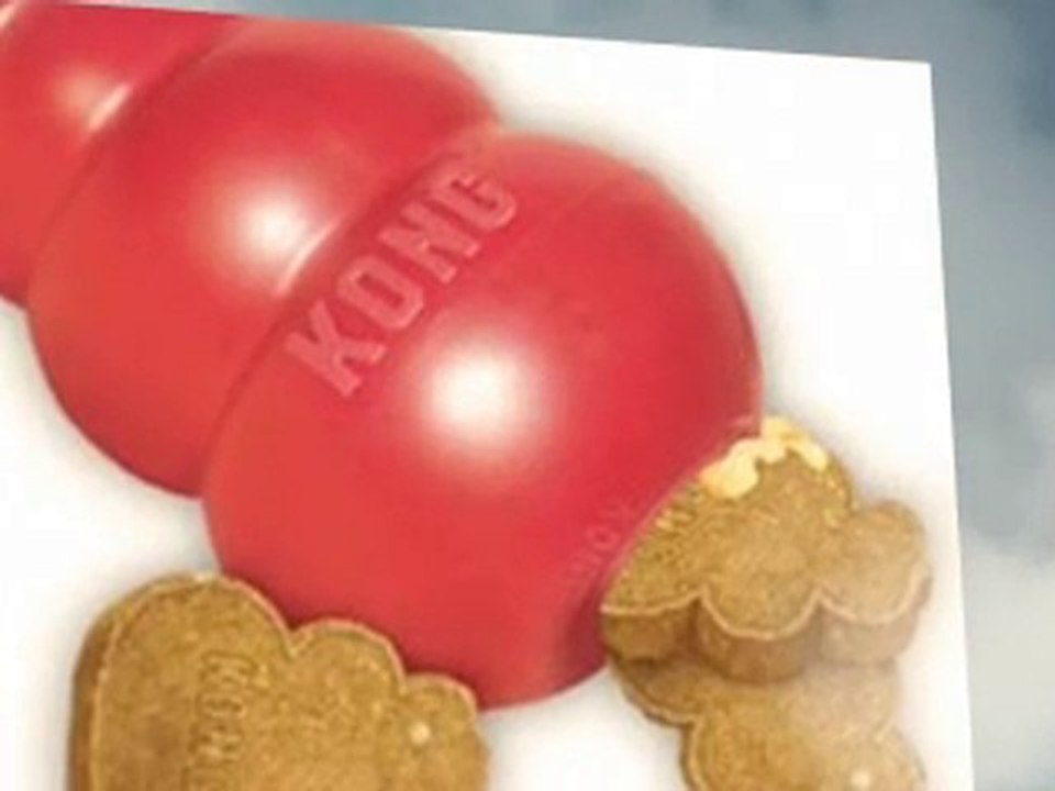 Pet Street Mall NOW!