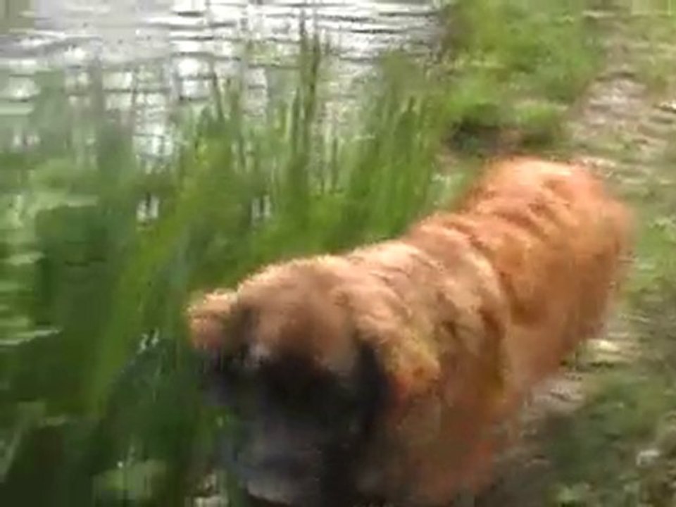 SORTIE LEOS 16 MAI 10 N2