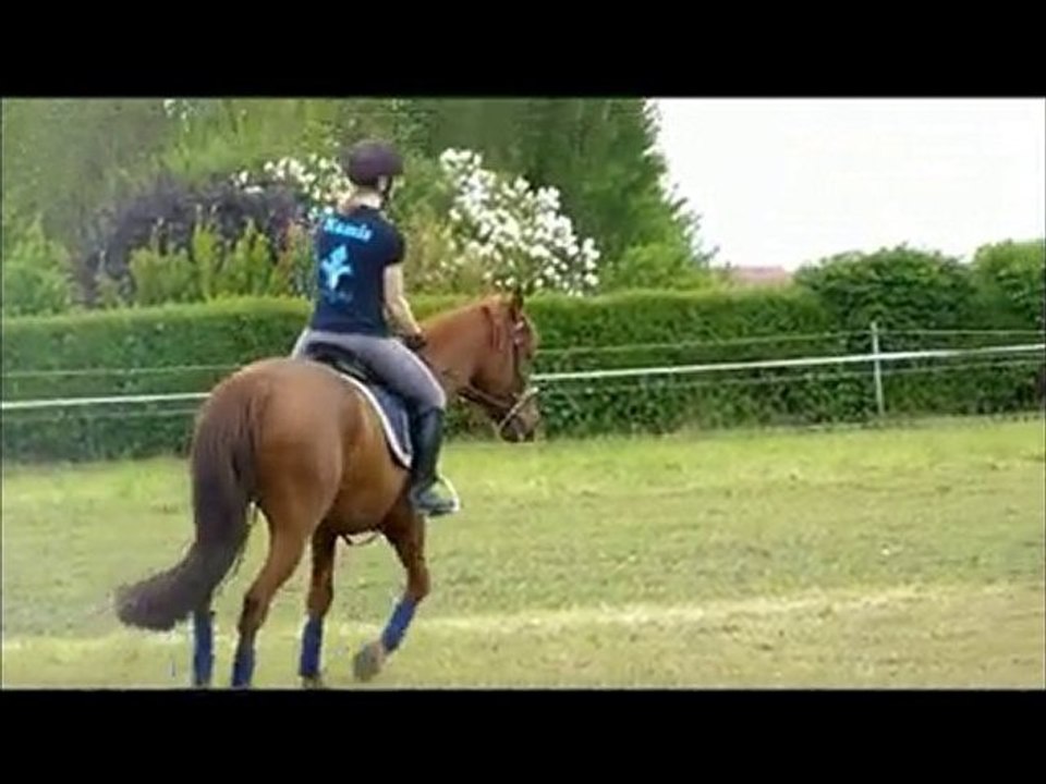 Retour au travail pour les loulous