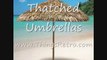 Thatched umbrellas 5 17 10