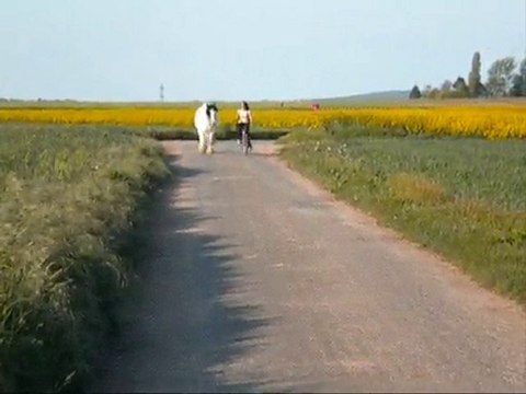 17 mai 2010 balade vélo avec Kaiser