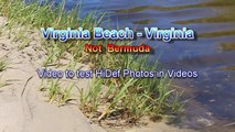 Virginia Beach - Not Bermuda