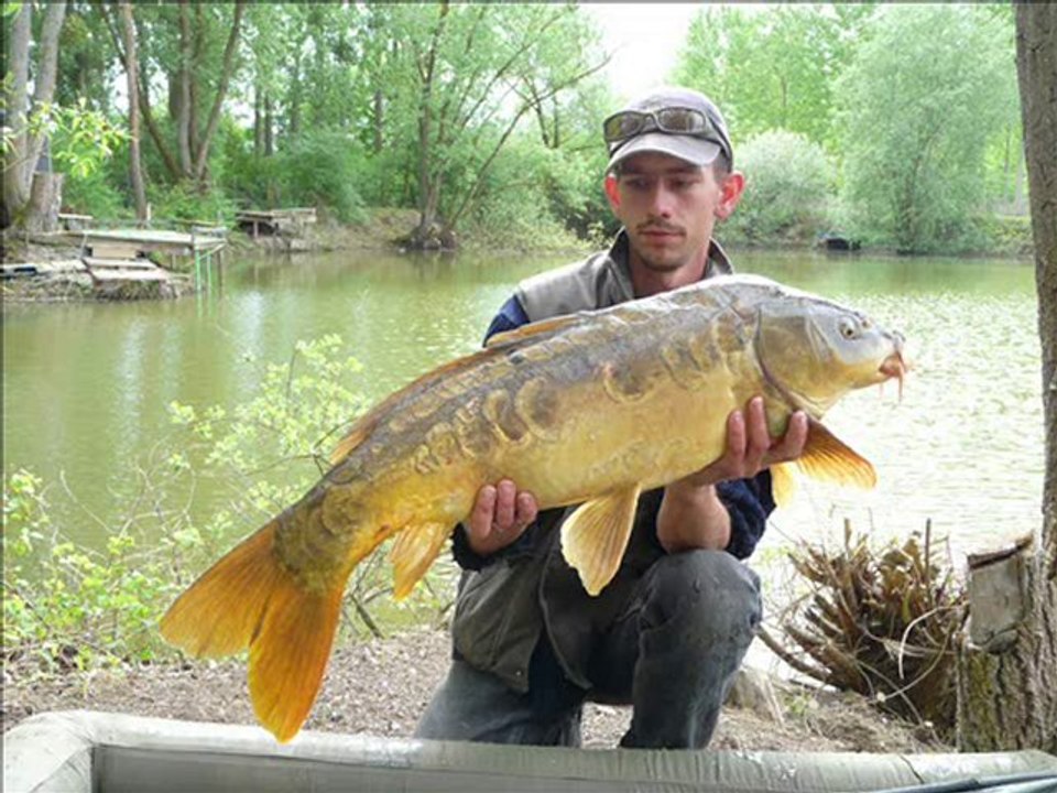 petit diapo debut 2010