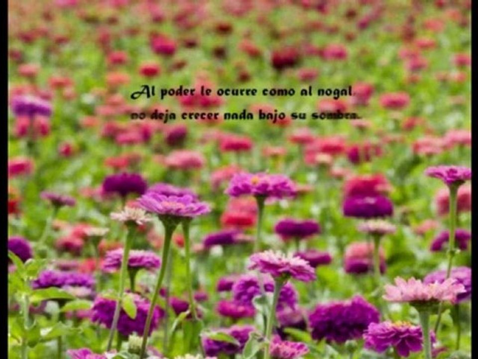 Video 73 El Secreto Detras de EL SECRETO