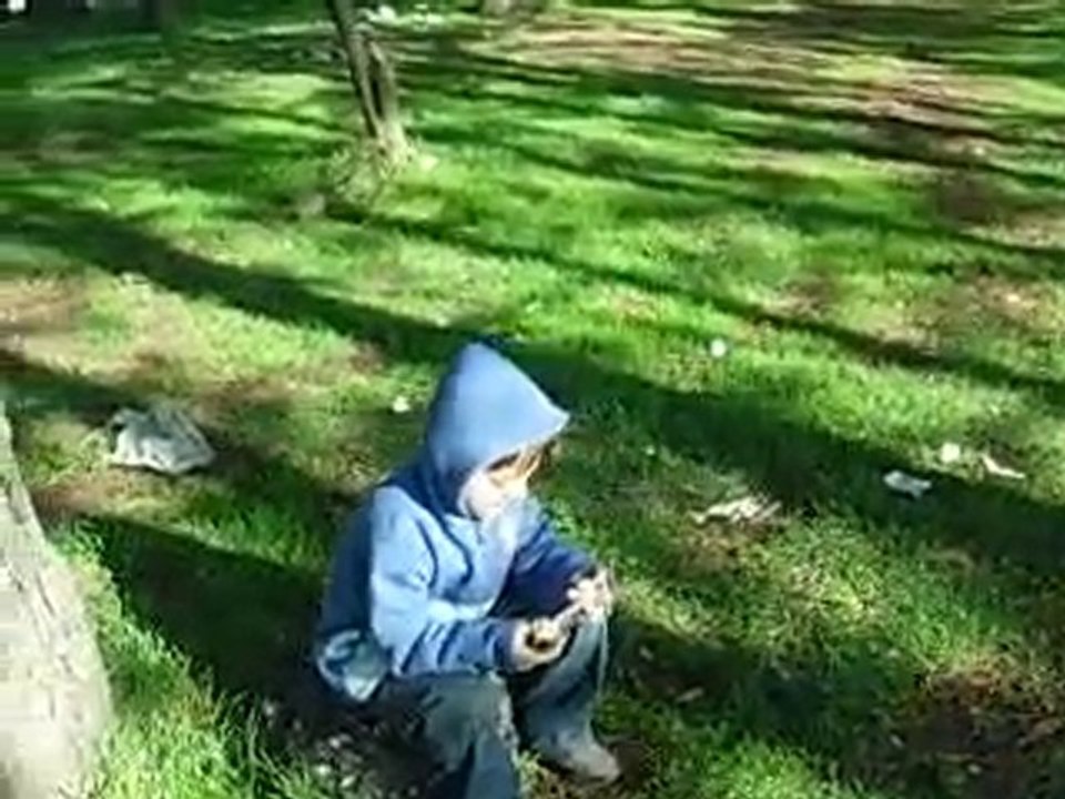 Piknikte Tufan Tavuk Yiyor
