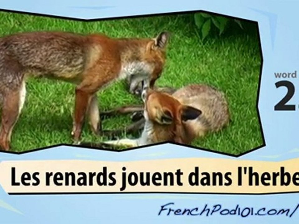 Learn French-Learn with French wild animals video